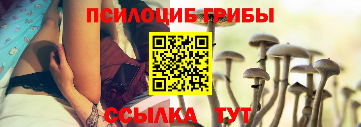 Галлюциногенные грибы прущие грибы  даркнет сайт  Брянск  Вход с VPN 